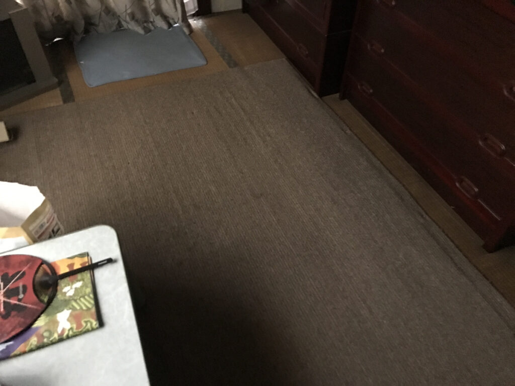 足立区梅島の遺品整理｜居室の作業前の通路と床面の様子